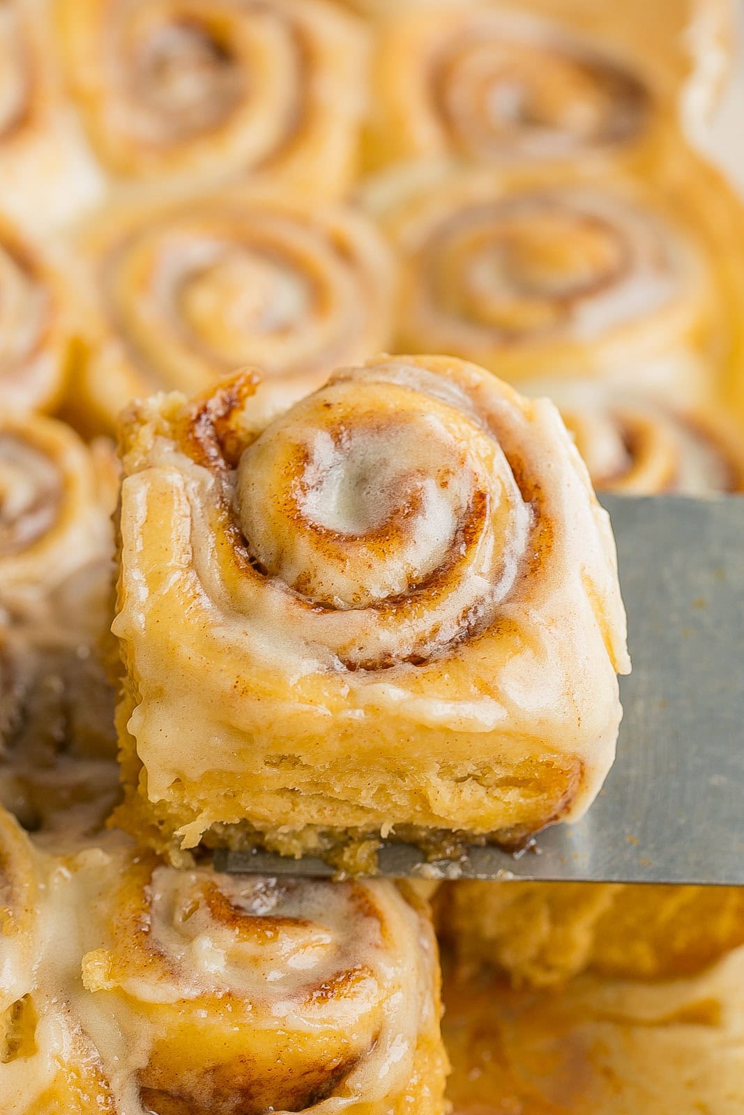 Mini Cinnamon Roll on a spatula.