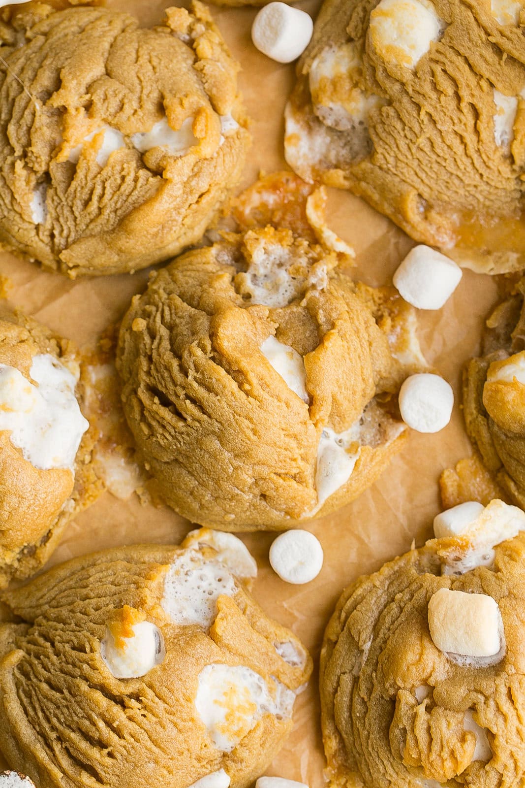 Easy homemade Peanut Butter Marshmallow Cookies packed with melty marshmallows.