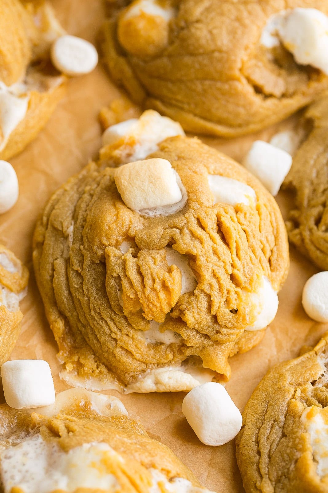 Close up of a fresh baked Peanut Butter Cookie with mini marshmallows.