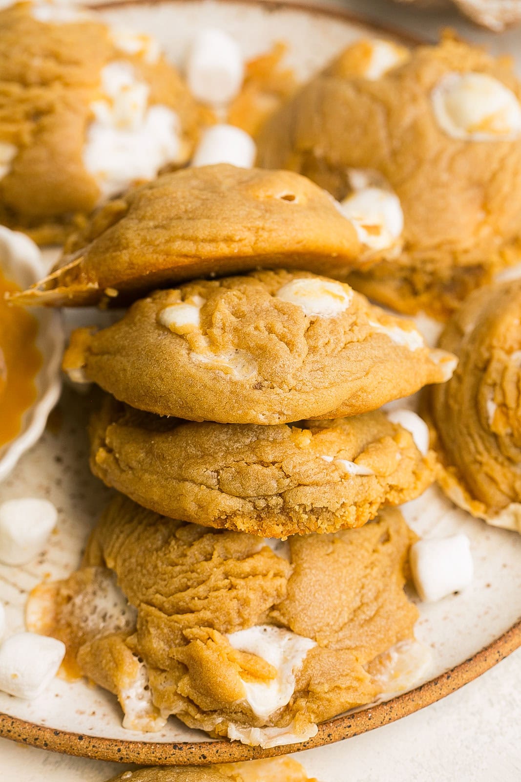 Stack of Peanut Butter Cookies on a plate with melted marshmallows.