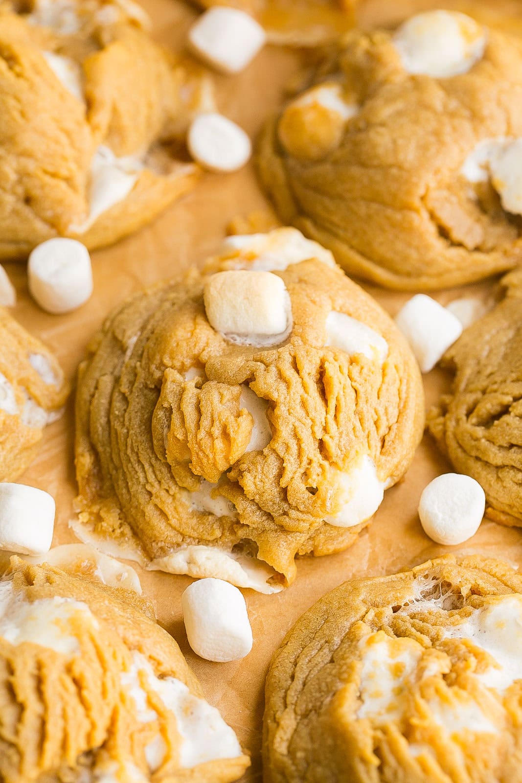 Thick and chewy Peanut Butter Marshmallow Cookies fresh from the oven.