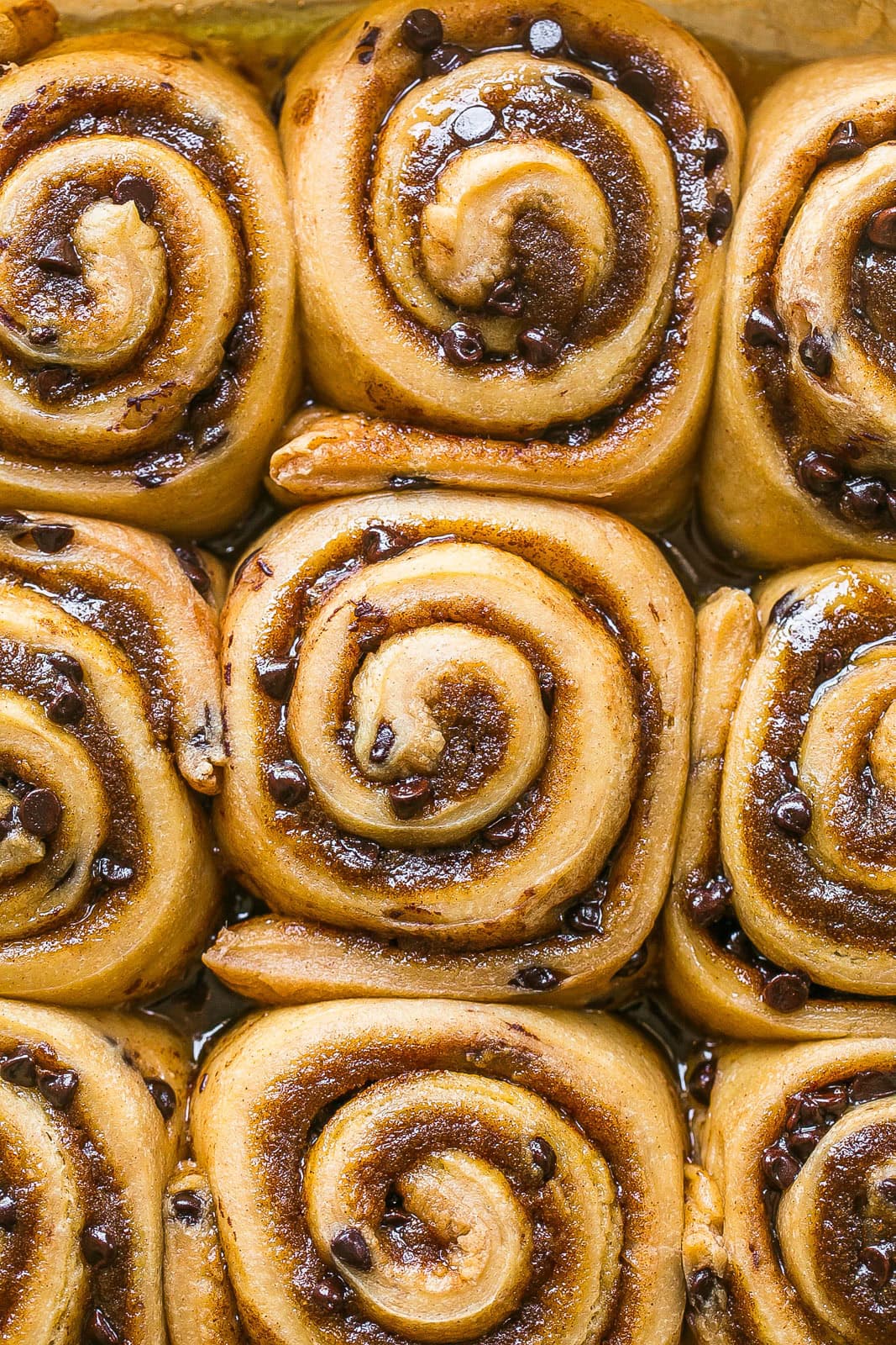 Fresh cinnamon rolls from the oven without any icing on top.