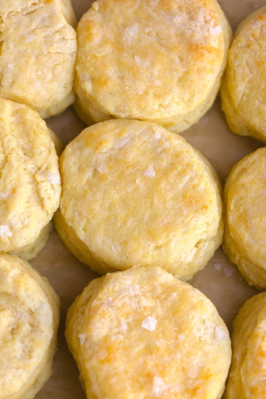 Freshly baked Homemade Buttermilk Biscuits with golden tops and flaky layers.